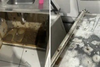 PCGO e Vigilância Sanitária interditam buffet clandestino em Goiânia – Policia Civil do Estado de Goiás