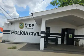 PCGO esclarece furto qualificado e recupera objetos, em menos de 24 horas, após o crime, em Aparecida de Goiânia PCGO esclarece furto qualificado e recupera objetos, em menos de 24 horas, após o crime, em Aparecida de Goiânia