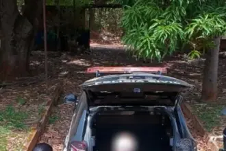 PCGO prende investigado por armazenar e compartilhar mais de mil arquivos de vídeo de exploração sexual infantil PCGO prende investigado por armazenar e compartilhar mais de mil arquivos de vídeo de exploração sexual infantil