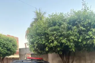 PCGO prende homem por tráfico e apreende aproximadamente R$ 450 mil em drogas em Pires do Rio – Policia Civil do Estado de Goiás PCGO prende homem por tráfico e apreende aproximadamente R$ 450 mil em drogas em Pires do Rio – Policia Civil do Estado de Goiás