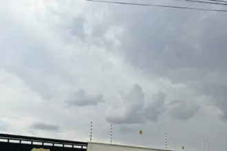 PCGO prende mãe e filho por comercialização irregular de pescado impróprio ao consumo em Piracanjuba – Policia Civil do Estado de Goiás PCGO prende mãe e filho por comercialização irregular de pescado impróprio ao consumo em Piracanjuba – Policia Civil do Estado de Goiás