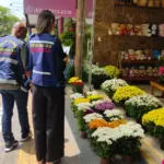 Fique Atento! Variação no preço das flores para Dia de Finados pode chegar a 590% – Portal Goiás Fique Atento! Variação no preço das flores para Dia de Finados pode chegar a 590% – Portal Goiás