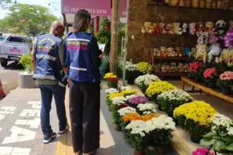 Fique Atento! Variação no preço das flores para Dia de Finados pode chegar a 590% – Portal Goiás