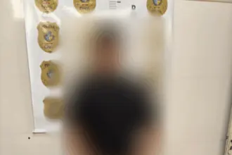 Polícia Civil prende homem por tráfico de drogas, porte ilegal de arma de fogo, posse de munição e ameaça – Policia Civil do Estado de Goiás