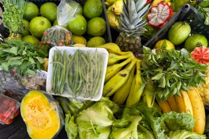 Governo beneficia mais de 2 mil produtores da agricultura familiar – Portal Goiás Governo beneficia mais de 2 mil produtores da agricultura familiar – Portal Goiás