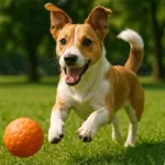 10 principais tipos de personalidades de cachorro