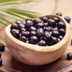 15 frutas e plantas do Norte e Nordeste que fortalecem a saúde