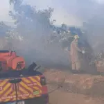 Bombeiros de Goianésia atuam em cinco incêndios em vegetação em um único dia