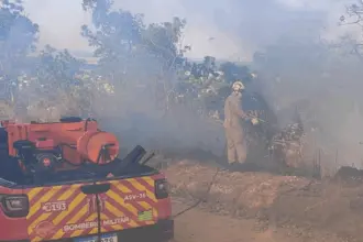 Bombeiros de Goianésia atuam em cinco incêndios em vegetação em um único dia Bombeiros de Goianésia atuam em cinco incêndios em vegetação em um único dia