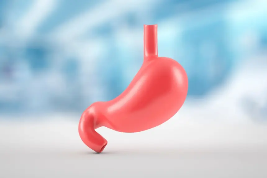 Veja como a alimentação pode atuar contra o câncer de estômago