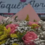 Com atendimento 24h, Toque Flores reforça compromisso com qualidade e carinho em Goianésia Com atendimento 24h, Toque Flores reforça compromisso com qualidade e carinho em Goianésia