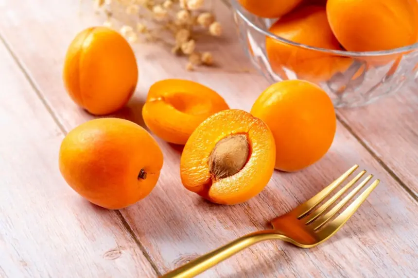 5 benefícios do damasco para a saúde 5 benefícios do damasco para a saúde