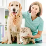 6 doenças crônicas comuns em cachorros e gatos  6 doenças crônicas comuns em cachorros e gatos