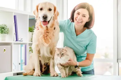 6 doenças crônicas comuns em cachorros e gatos 