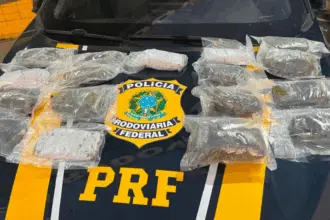 Forças policiais apreendem 20kg de haxixe na BR-153 Forças policiais apreendem 20kg de haxixe na BR-153