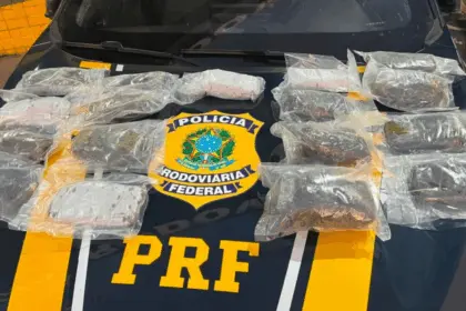 Forças policiais apreendem 20kg de haxixe na BR-153