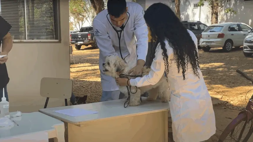 Goianésia realiza 2ª Campanha Pública de Castração de Cães e Gatos Machos Goianésia realiza 2ª Campanha Pública de Castração de Cães e Gatos Machos