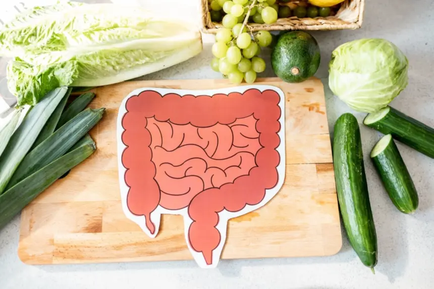 Veja alimentos e hábitos para melhorar a saúde do intestino Veja alimentos e hábitos para melhorar a saúde do intestino