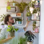 7 plantas ideais para decorar a casa e atrair boas energias