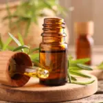 Saiba como o óleo essencial de alecrim pode ajudar no crescimento do cabelo Saiba como o óleo essencial de alecrim pode ajudar no crescimento do cabelo