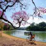 5 rotas de bike para aproveitar a primavera no Brasil 5 rotas de bike para aproveitar a primavera no Brasil