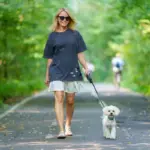 10 plantas tóxicas para animais comuns em jardins e calçadas