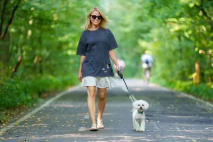 10 plantas tóxicas para animais comuns em jardins e calçadas