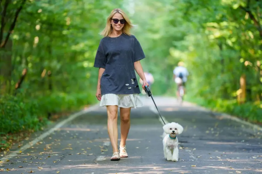 10 plantas tóxicas para animais comuns em jardins e calçadas