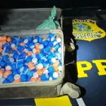 Polícia apreende mais de 10 mil comprimidos de anfetamina na BR-153