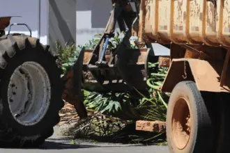Prefeitura de Goianésia implantará o programa “A Limpeza é Nossa” a partir de novembro; veja como funcionará