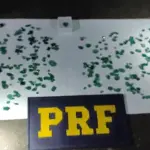 PRF apreende pedras preciosas sem origem comprovada na BR-153, em Jaraguá