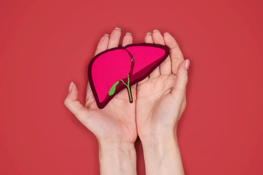 Veja como a alimentação influencia a gordura no fígado