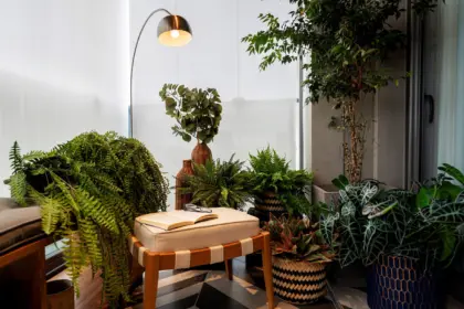 Como iluminar ambientes com plantas: 4 dicas práticas