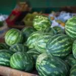 Goiás lidera produção nacional de melancia – Portal Goiás