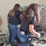 PCGO apreende arma e munições usadas por agressor que fez disparos contra portão da casa de ex-companheira, em Luziânia