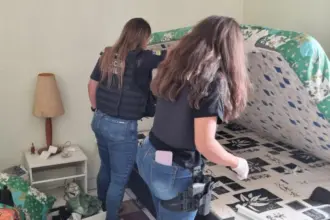 PCGO apreende arma e munições usadas por agressor que fez disparos contra portão da casa de ex-companheira, em Luziânia