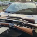 PCGO apreende armas de fogo no cumprimento de buscas em meio a investigação de violência doméstica, em Santa Helena