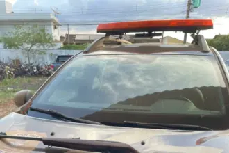 PCGO apreende armas de fogo no cumprimento de buscas em meio a investigação de violência doméstica, em Santa Helena