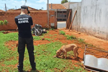 PCGO apura caso de maus-tratos e resgata pitbull em situação de abandono – Policia Civil do Estado de Goiás
