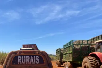 PCGO cumpre mandado e prende condenado por estelionato e lavagem de dinheiro em Aparecida de Goiânia – Policia Civil do Estado de Goiás