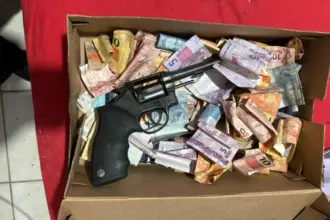 PCGO cumpre medidas judiciais contra o crime organizado em Goiás, Minas Gerais e São Paulo – Policia Civil do Estado de Goiás