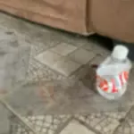 PCGO e PMGO prendem autor de tentativa de homicídio em menos de 20 minutos após o crime – Policia Civil do Estado de Goiás