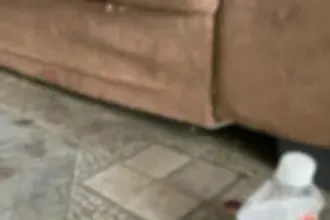 PCGO e PMGO prendem autor de tentativa de homicídio em menos de 20 minutos após o crime – Policia Civil do Estado de Goiás