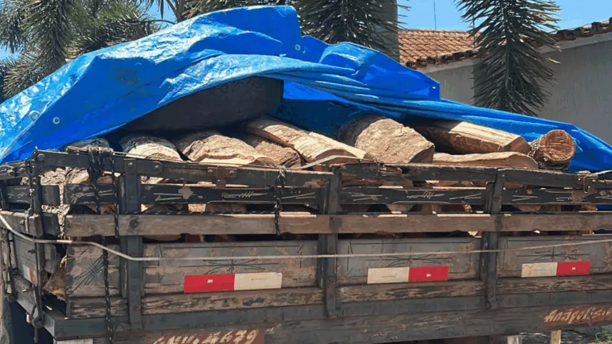 PCGO localiza e apreende caminhão com madeira ilegal após denúncia anônima em Jaraguá – Policia Civil do Estado de Goiás PCGO localiza e apreende caminhão com madeira ilegal após denúncia anônima em Jaraguá – Policia Civil do Estado de Goiás