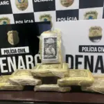 PCGO prende jovem com carga de skunk avaliada em R$ 150 mil durante Operação Narke 5, em Goiânia – Policia Civil do Estado de Goiás