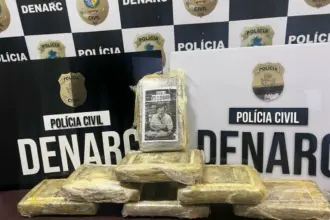 PCGO prende jovem com carga de skunk avaliada em R$ 150 mil durante Operação Narke 5, em Goiânia – Policia Civil do Estado de Goiás
