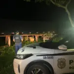 PCGO recupera gaiola de transporte de gado roubada e apreende arma de fogo – Policia Civil do Estado de Goiás