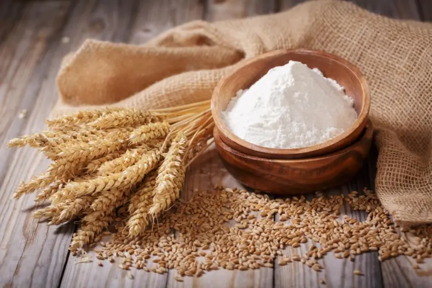 Trigo não é glúten: entenda a diferença e razões para consumi-lo