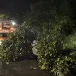 Fortes ventos derrubam árvore sobre dois veículos no Centro de Goianésia