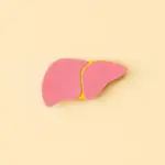 Entenda a relação entre obesidade e gordura no fígado